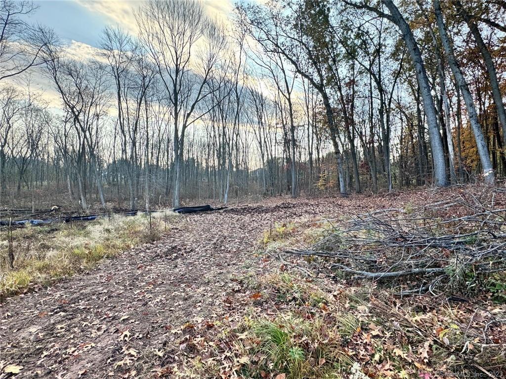 Newington, Connecticut, 06111, United States, ,Land,For Sale,1982448