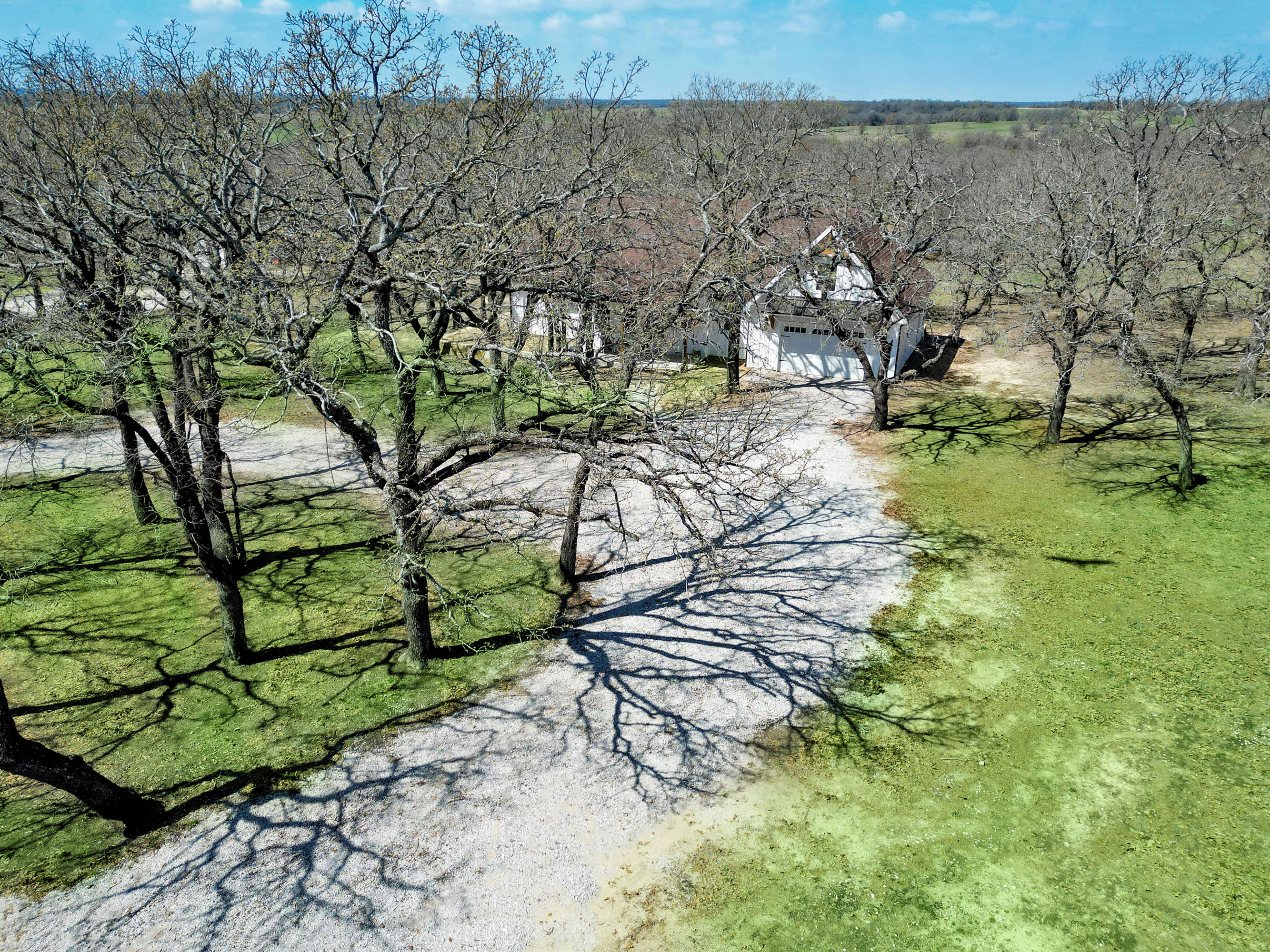  954 Fm 1749, Forestburg, TX, 76239 - 物件實景