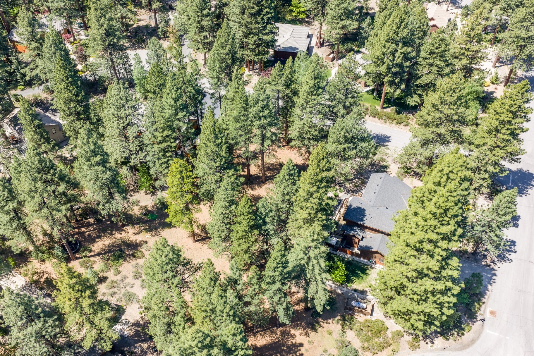  Private Galena Forest Parcel Near Mt. Rose with Pines & Tahoe Access - 物件實景