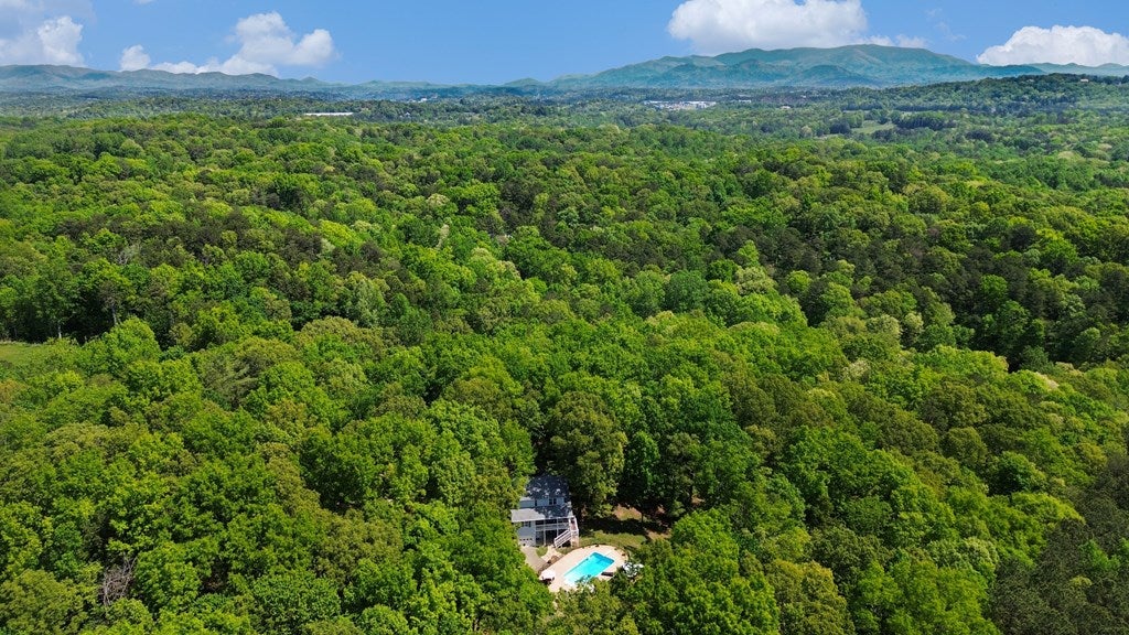 Ellijay, Georgia, 30540, United States, 3 Bedrooms Bedrooms, ,4 BathroomsBathrooms,Residential,For Sale,2044950