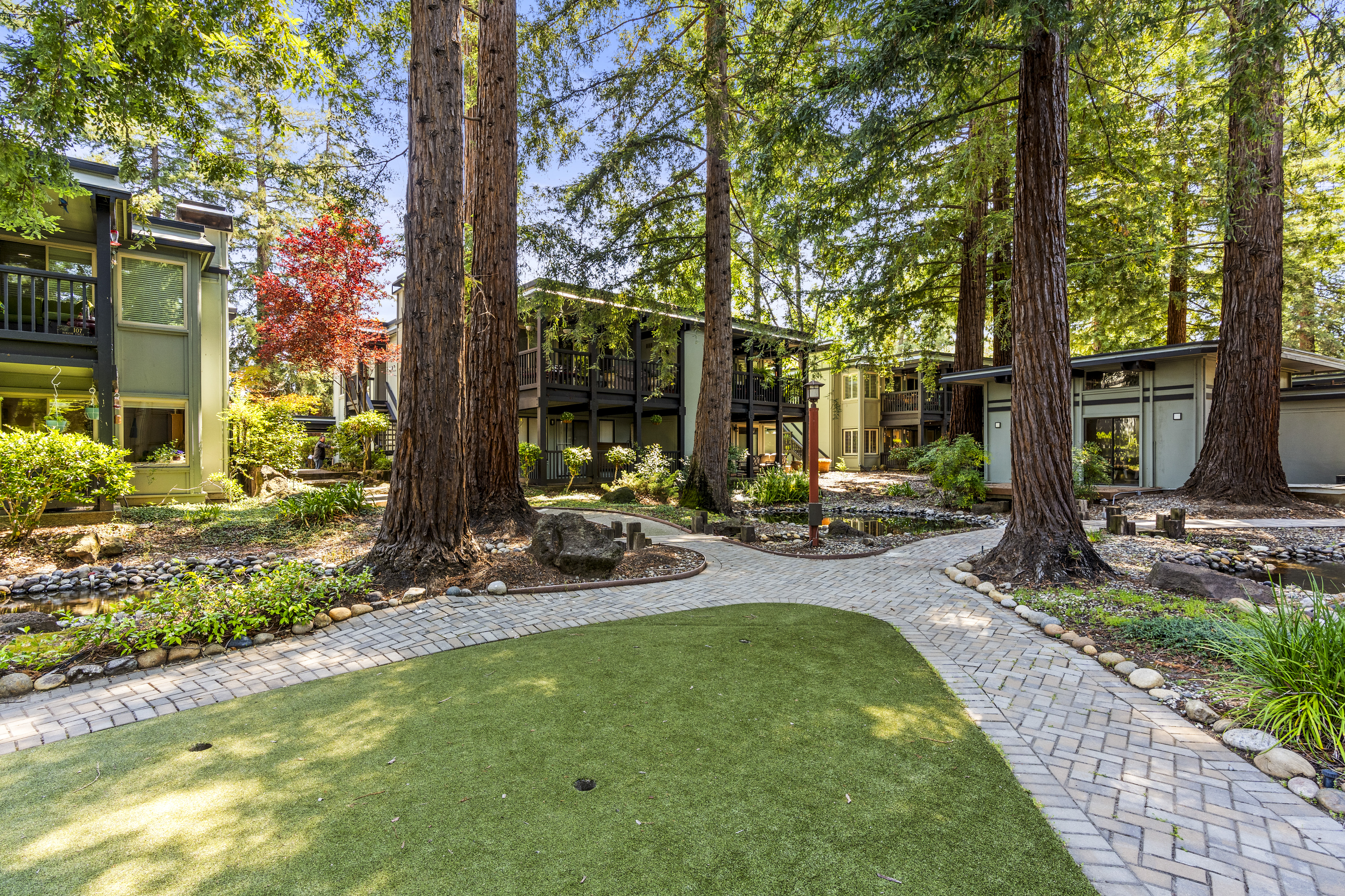  Tranquil Westside Danville Condominium Surrounded by Majestic Redwoods - 物件實景