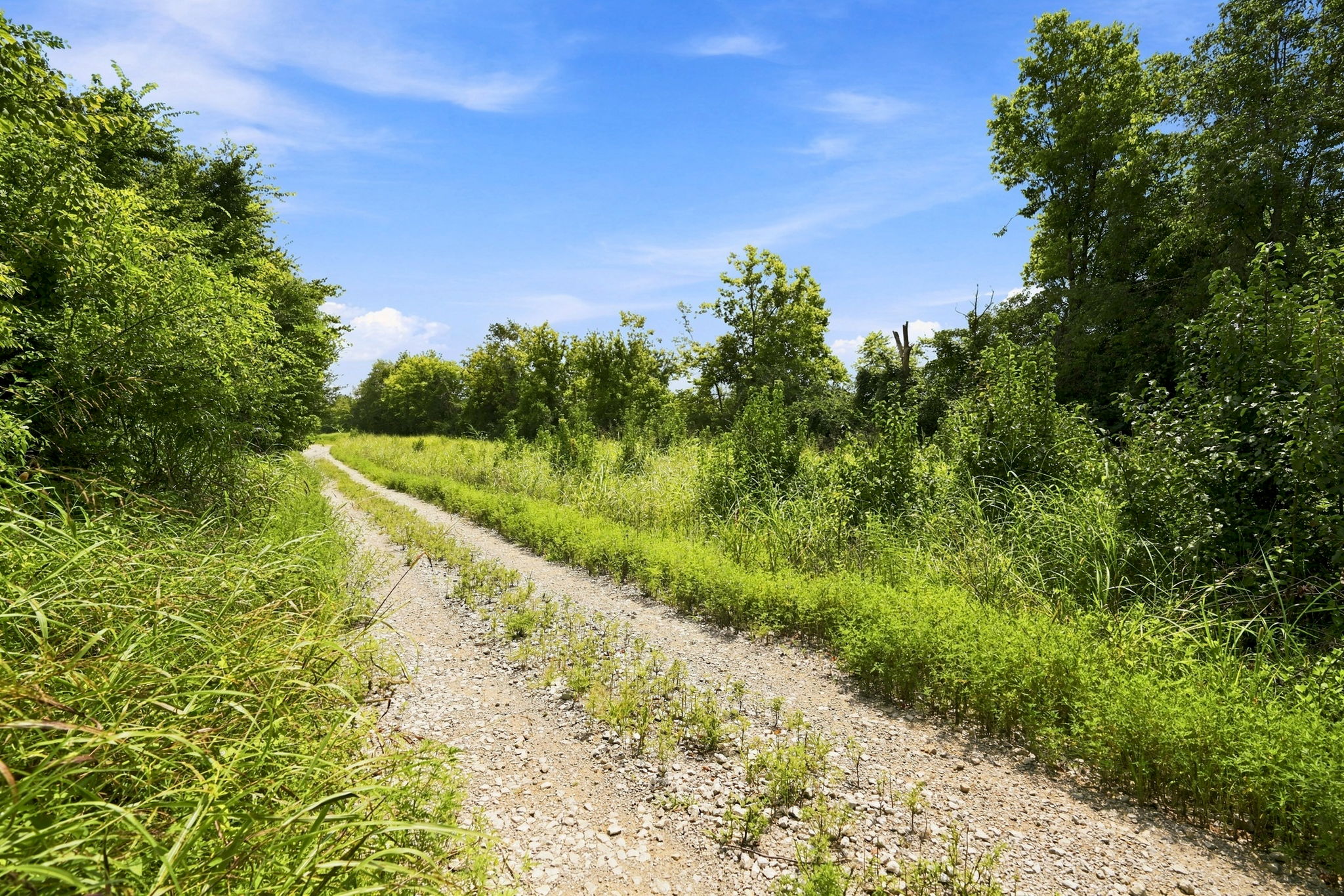  1210 Beckley Hills Court, Louisville, KY 40245 - 物件實景