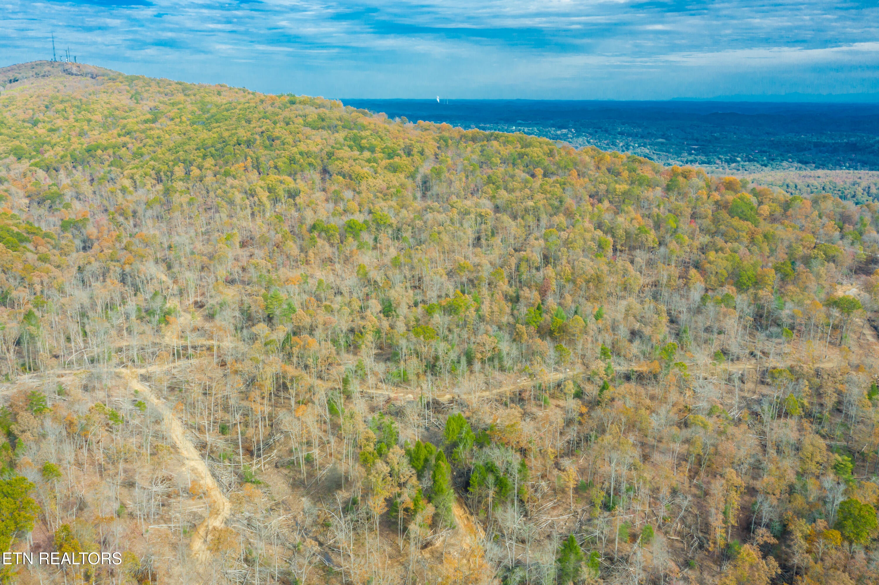 Rockwood, Tennessee, 37854, United States, ,Land,For Sale,1806468