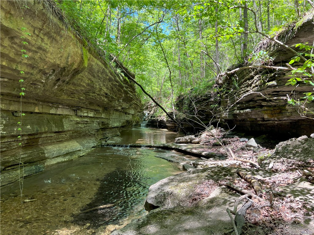 Garfield, Arkansas, 72732, United States, ,Land,For Sale,1804669