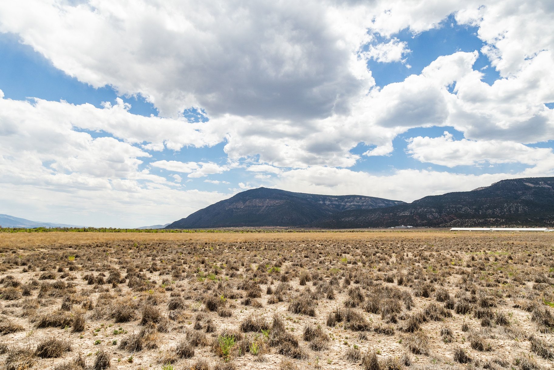  8.5-Acre Lots, No HOA, Stunning Horseshoe Mountain Views - 物件實景
