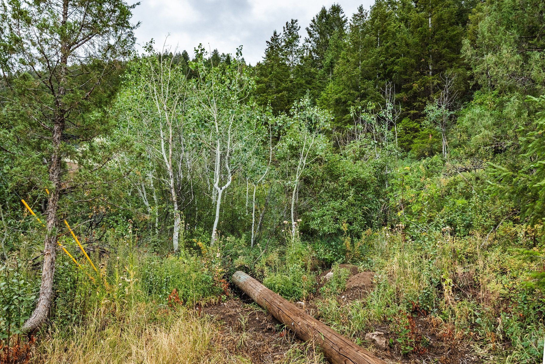  One+ Acre Off Mirror Lake Highway  Power, Septic Plan & Year Round Access - 物件實景