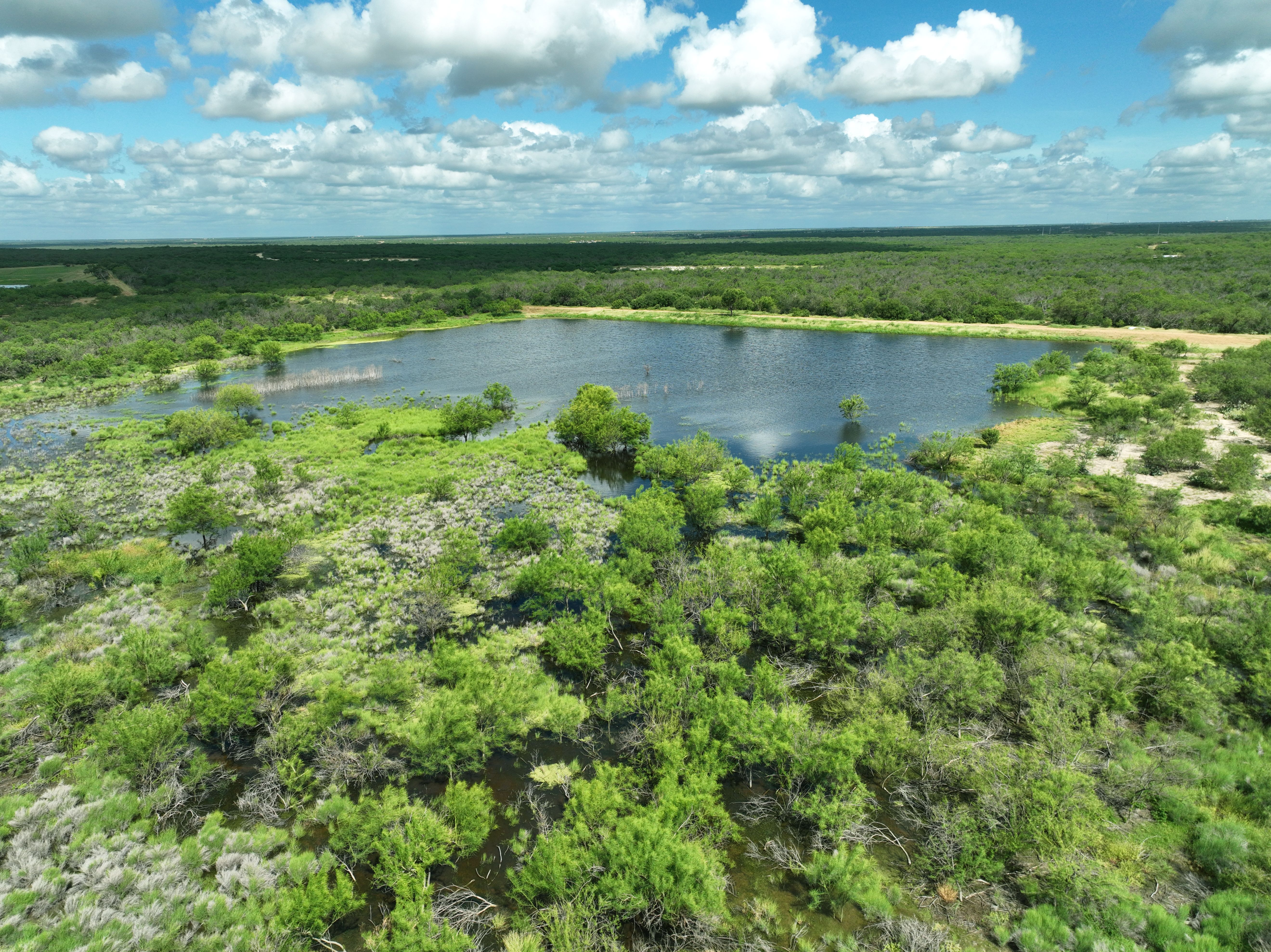  Moro Creek Ranch in Dimmit County - 物件實景
