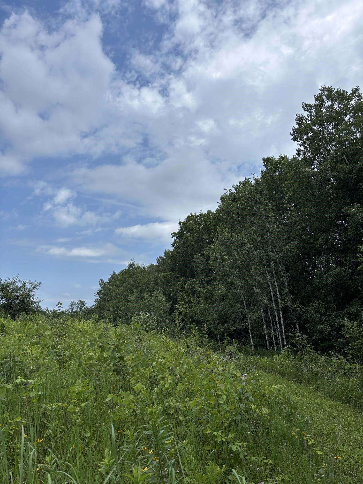 Gays Mills, Wisconsin, 54631, United States, ,Residential,For Sale,1928729