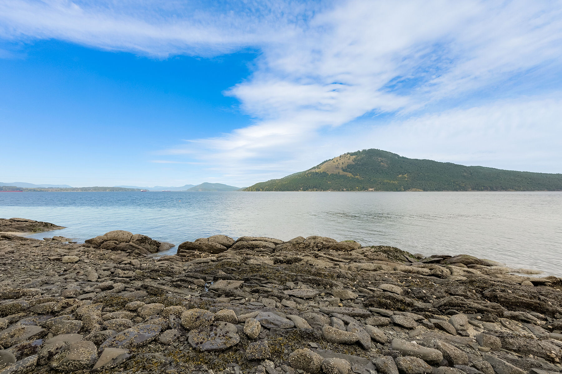  Serene Woodland Charm - 物件實景
