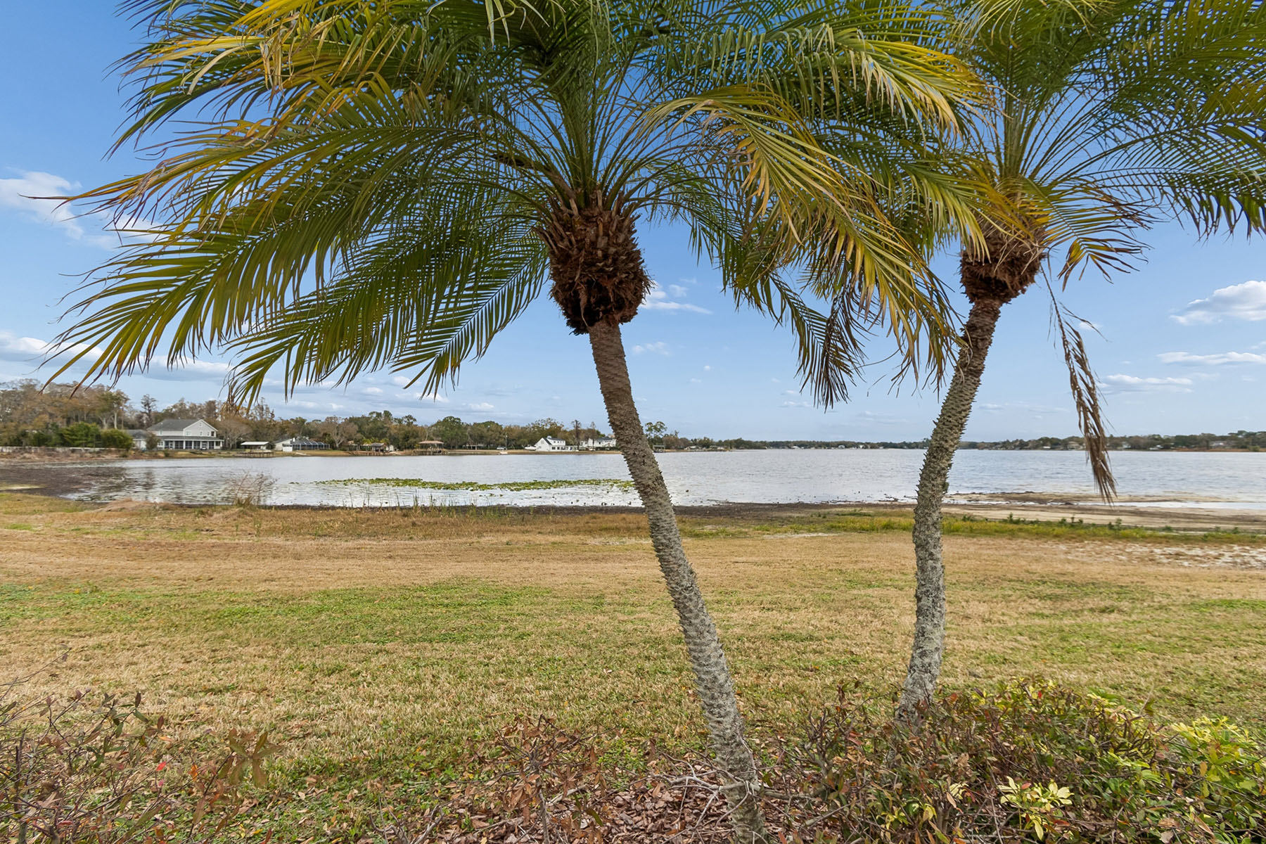  TAMPA - 物件實景