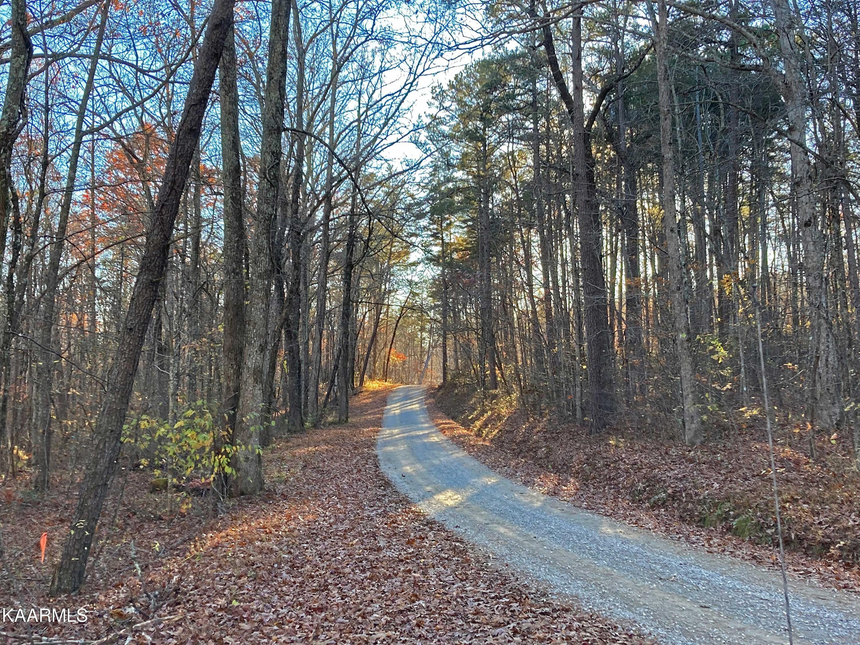 Pikeville, Tennessee, 37367, United States, ,Residential,For Sale,1943070