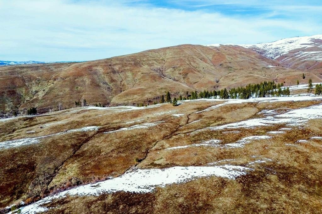 Council, Idaho, 83612, United States, ,Residential,For Sale,1935833