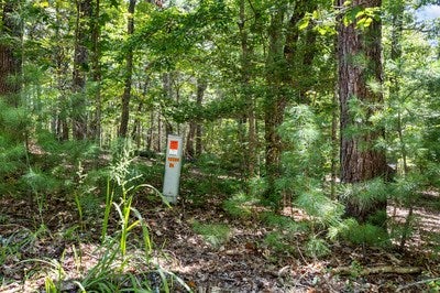 Blairsville, Georgia, 30512, United States, ,Land,For Sale,1933654