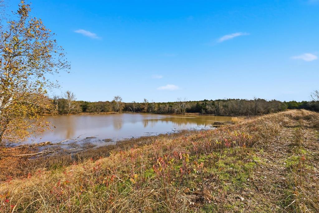 Anna, Texas, 75409, United States, ,Land,For Sale,2002997
