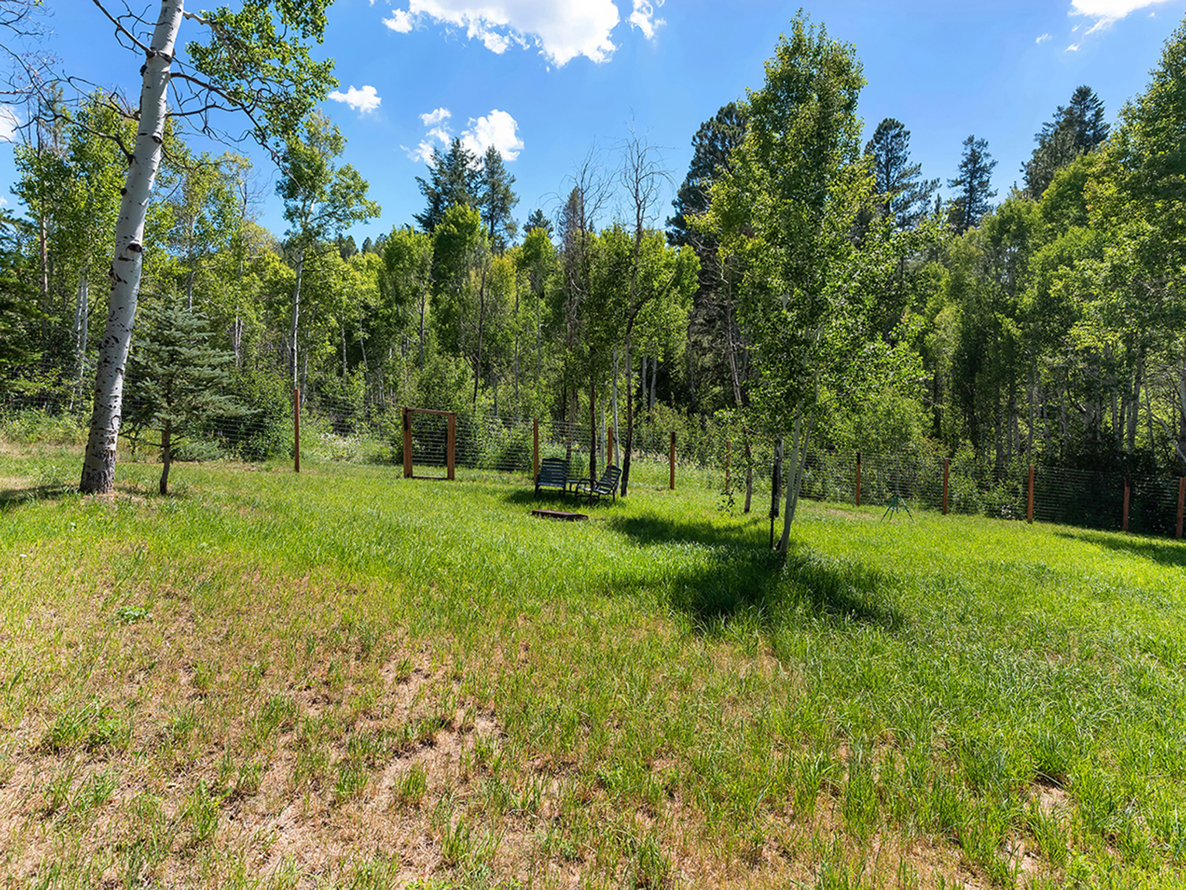  22610 Snowbird Trail, Oak Creek, CO, 80467 - 物件實景