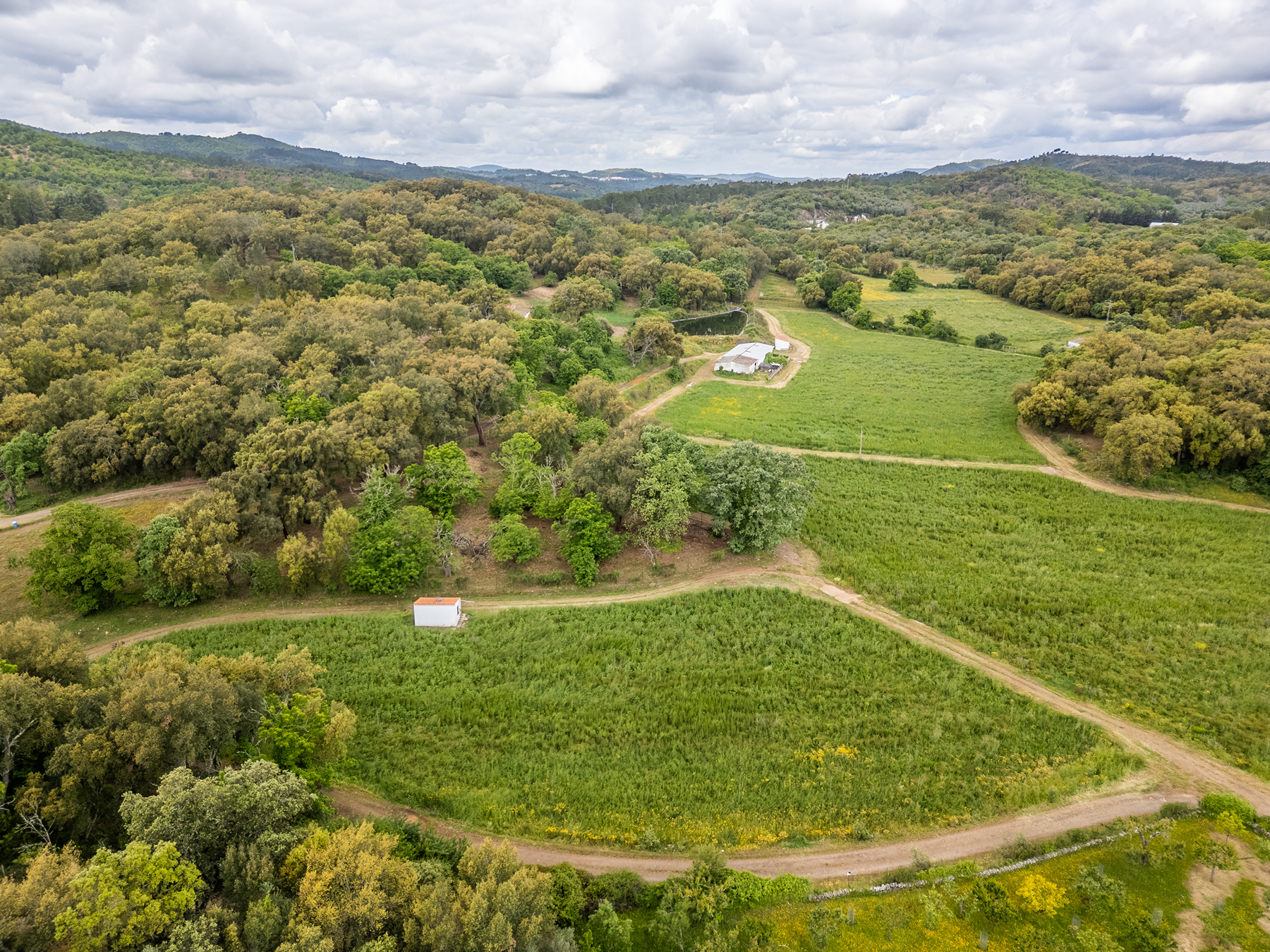  Cattle, equestrian, agricultural, and ecological farm in Aracena