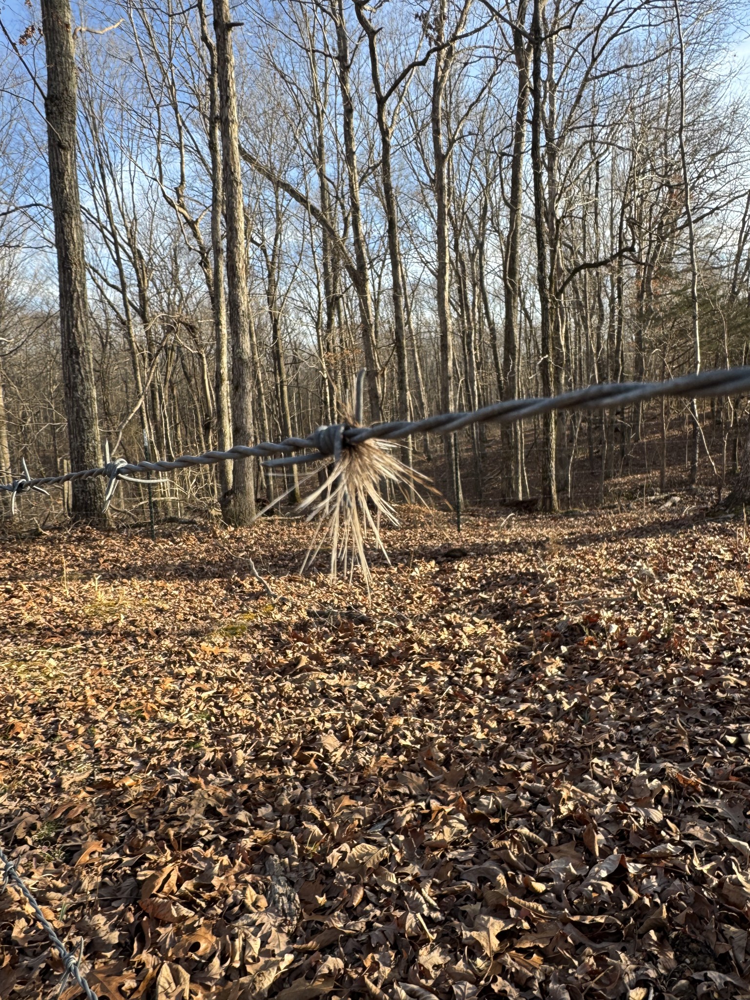  2340 Ridge Road, McEwen, TN 37101 - 物件實景