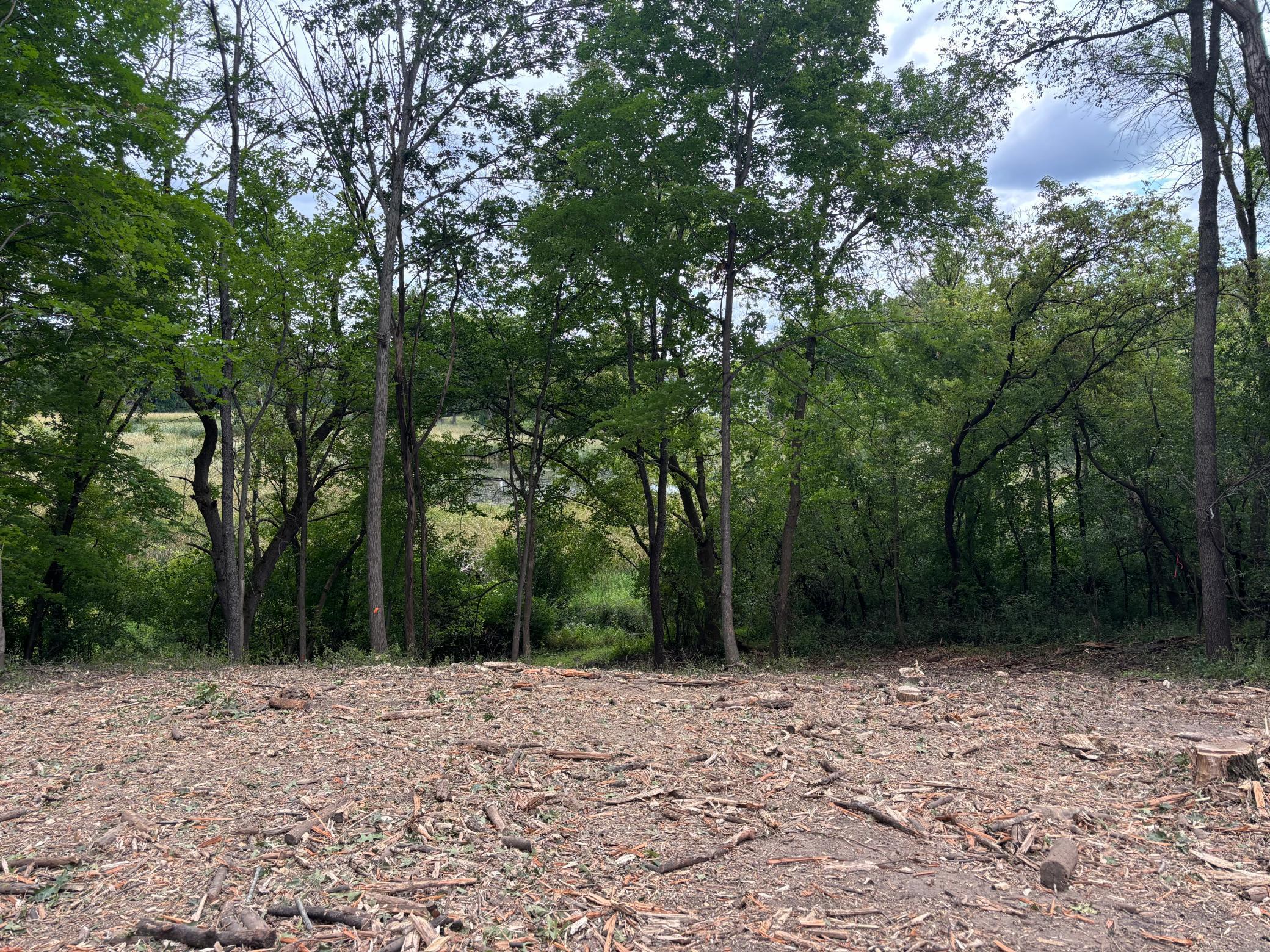 460 Indian Hill Road, Chanhassen, Minnesota, 55317, United States, ,Land,For Sale,460 Indian Hill Road,1603085