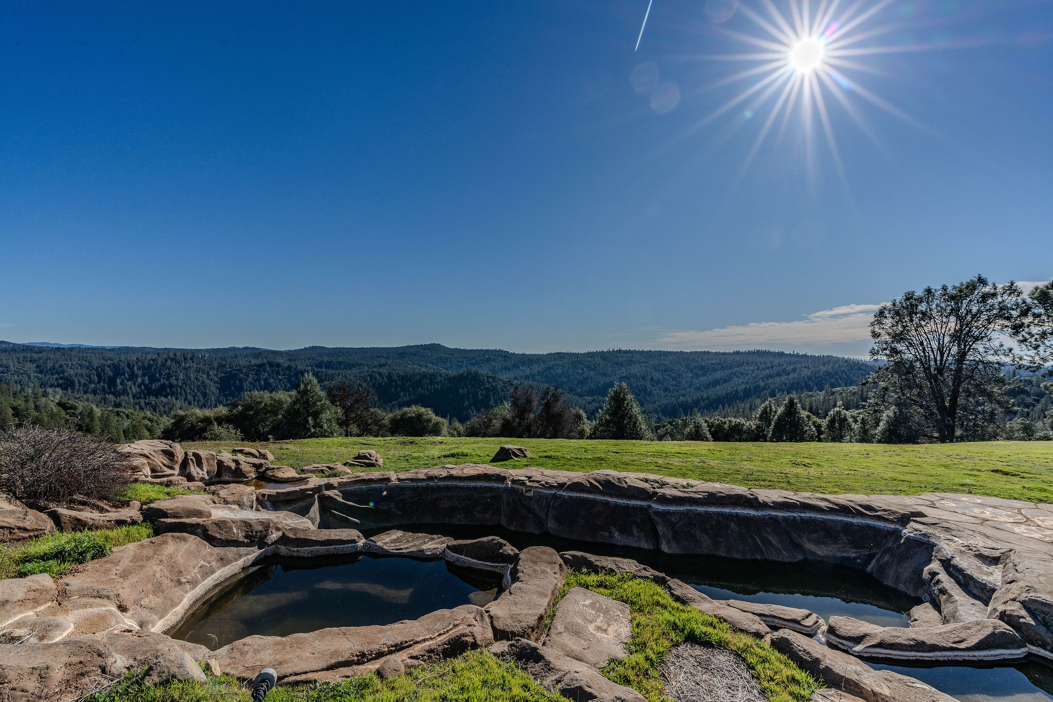 18926 Shake Ridge Road, Sutter Creek, California, 95685, United States, 5 Bedrooms Bedrooms, ,5 BathroomsBathrooms,Residential,For Sale,18926 Shake Ridge Road,1540295