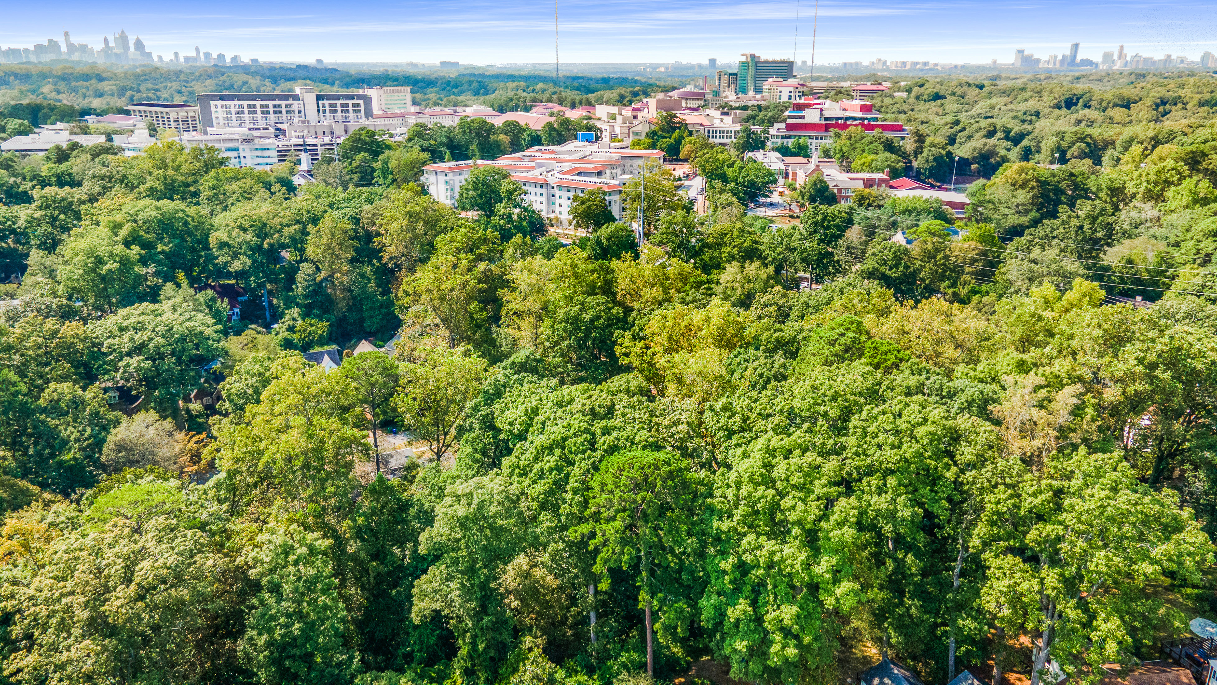  Three Contiguous Lots for New Construction in Historic Druid Hills - 物件實景
