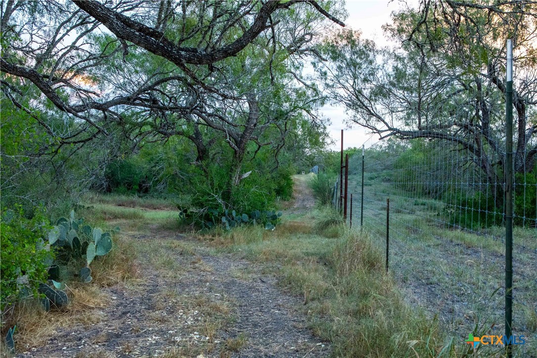 000 CR376, George West, Texas, 78022, United States, ,Land,For Sale,000 CR376,1676850