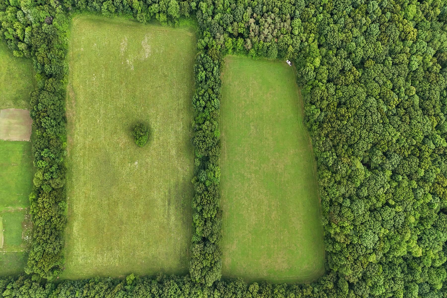  Groveland Township - 物件實景