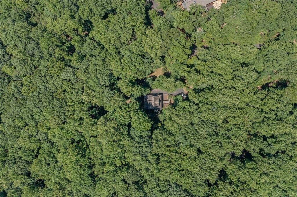 Jasper, Georgia, 30143, United States, 3 Bedrooms Bedrooms, ,4 BathroomsBathrooms,Residential,For Sale,1984000