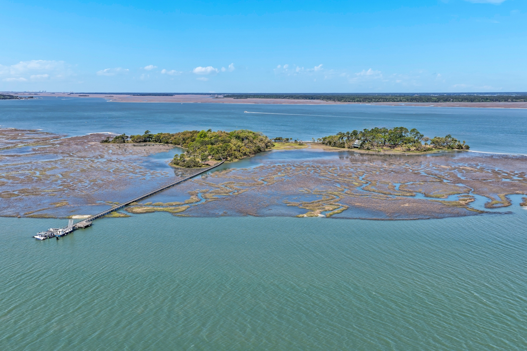  Buck Island  A Private Lowcountry Sanctuary - 物件實景
