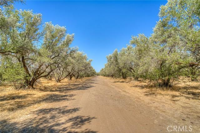 Oroville, California, 95965, United States, 2 Bedrooms Bedrooms, ,2 BathroomsBathrooms,Residential,For Sale,1978871