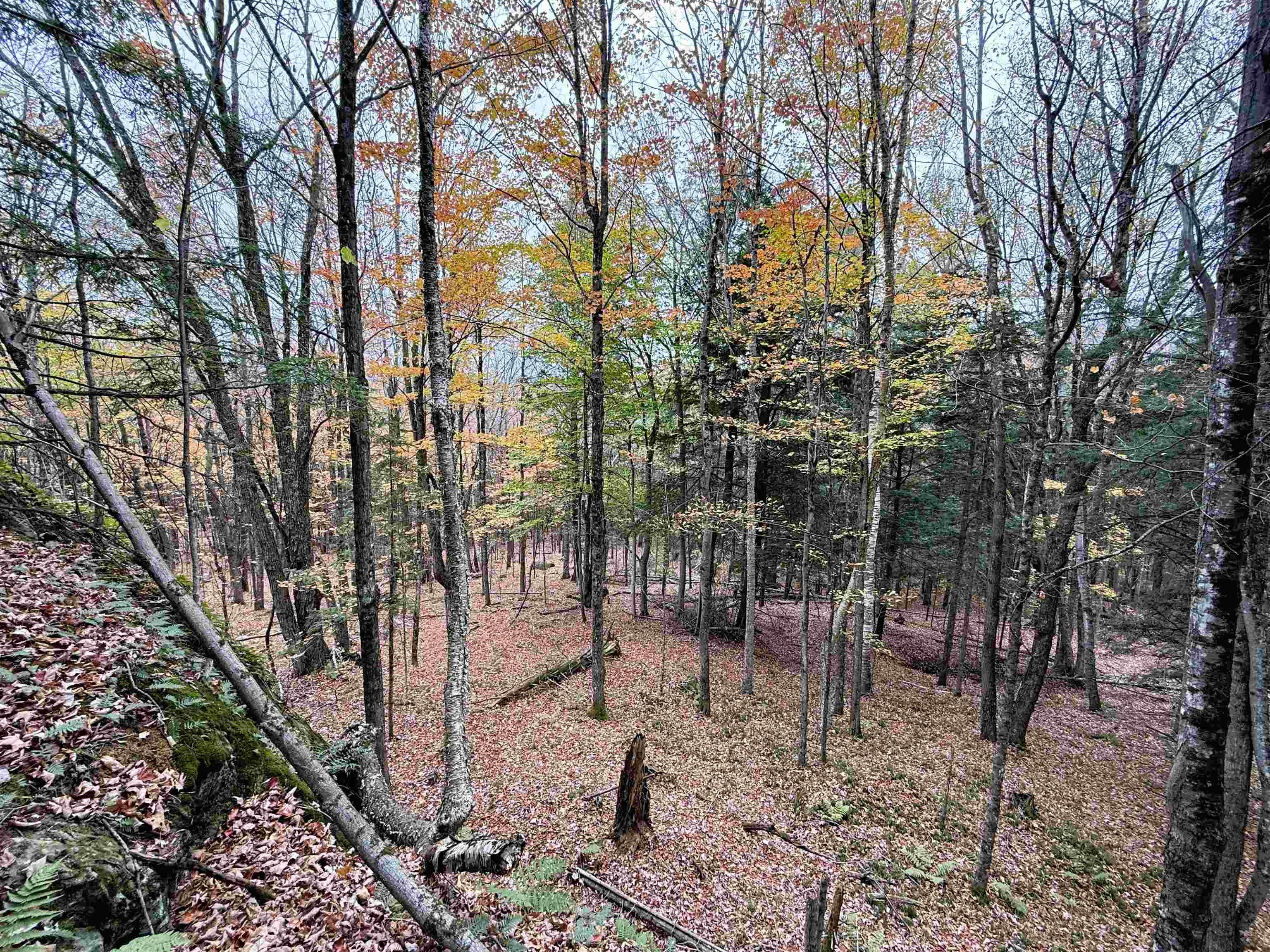 Newport Town, Vermont, 05857, United States, 3 Bedrooms Bedrooms, ,3 BathroomsBathrooms,Residential,For Sale,1980373