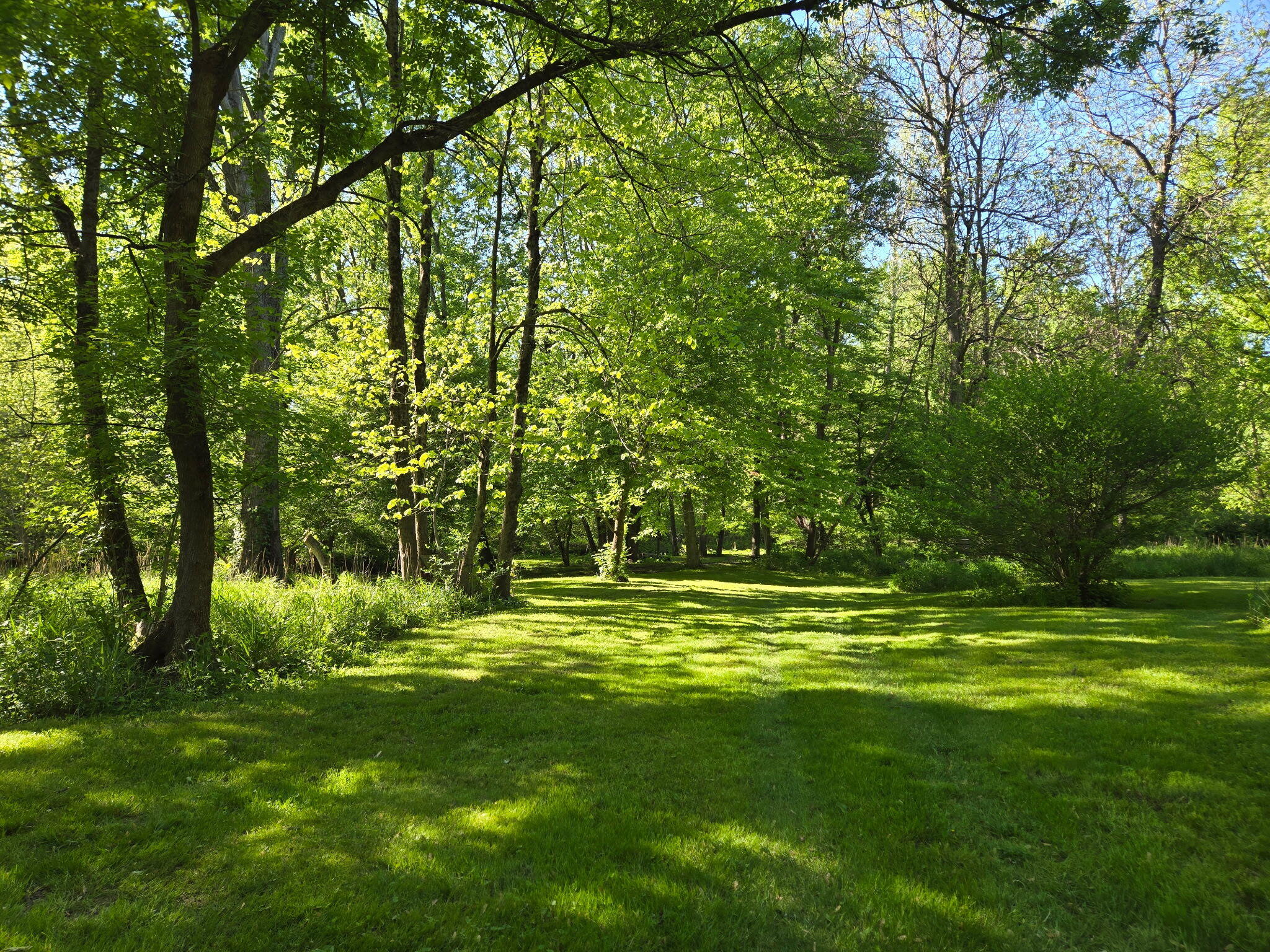 Bangor, Michigan, 49013, United States, 3 Bedrooms Bedrooms, ,2 BathroomsBathrooms,Residential,For Sale,1930428