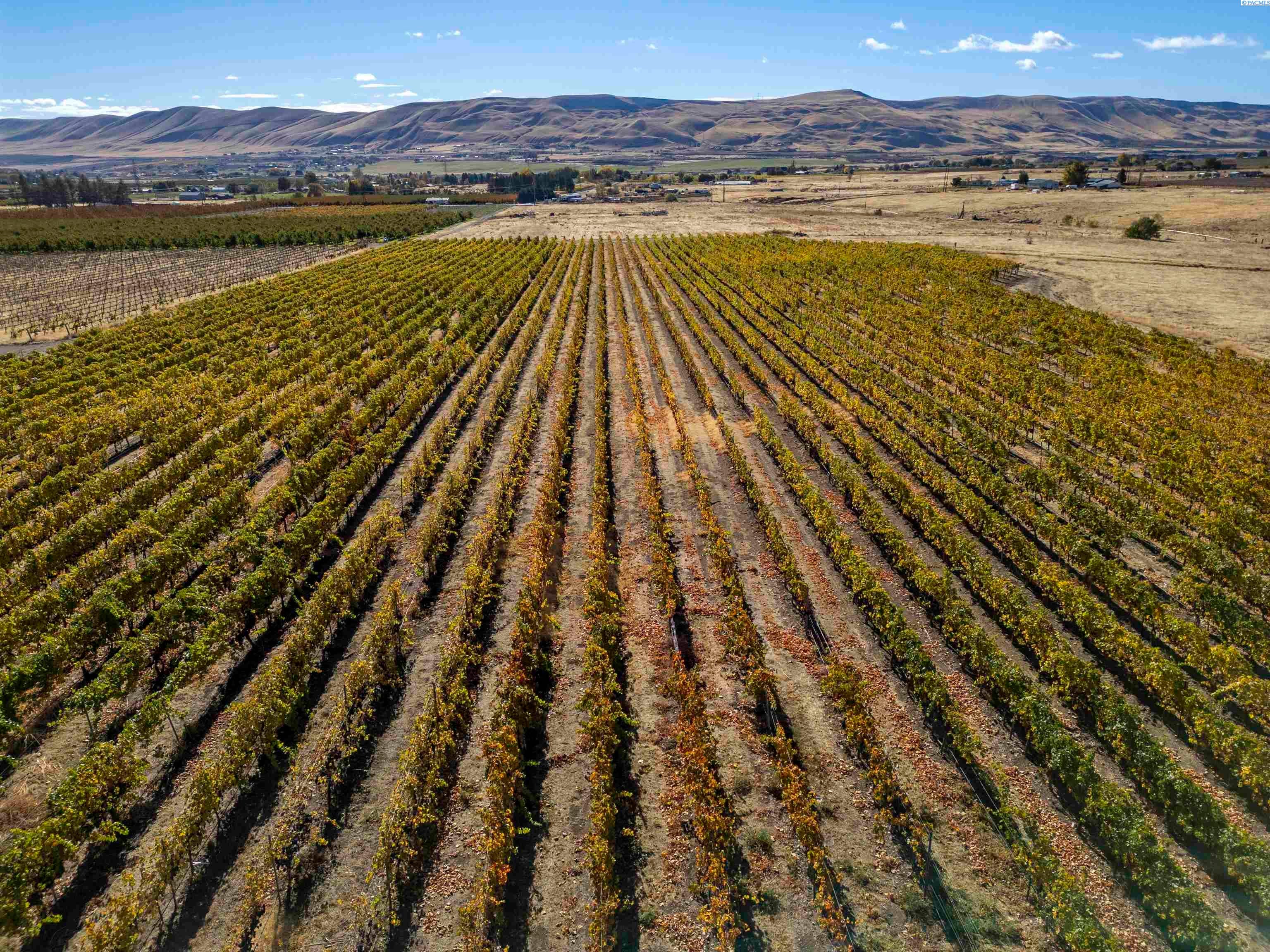 Benton City, Washington, 99320, United States, 3 Bedrooms Bedrooms, ,2 BathroomsBathrooms,Residential,For Sale,1992566