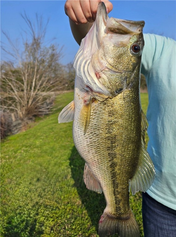 College Station, Texas, 77845, United States, 4 Bedrooms Bedrooms, ,3 BathroomsBathrooms,Residential,For Sale,1976837