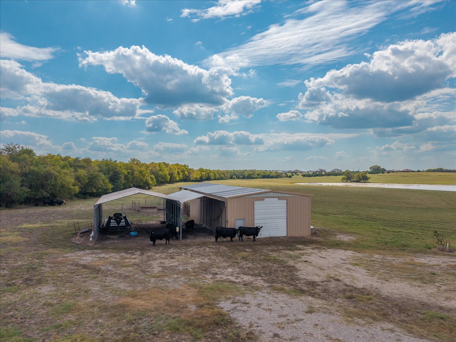 Celeste, Texas, 75423, United States, ,Land,For Sale,1983780