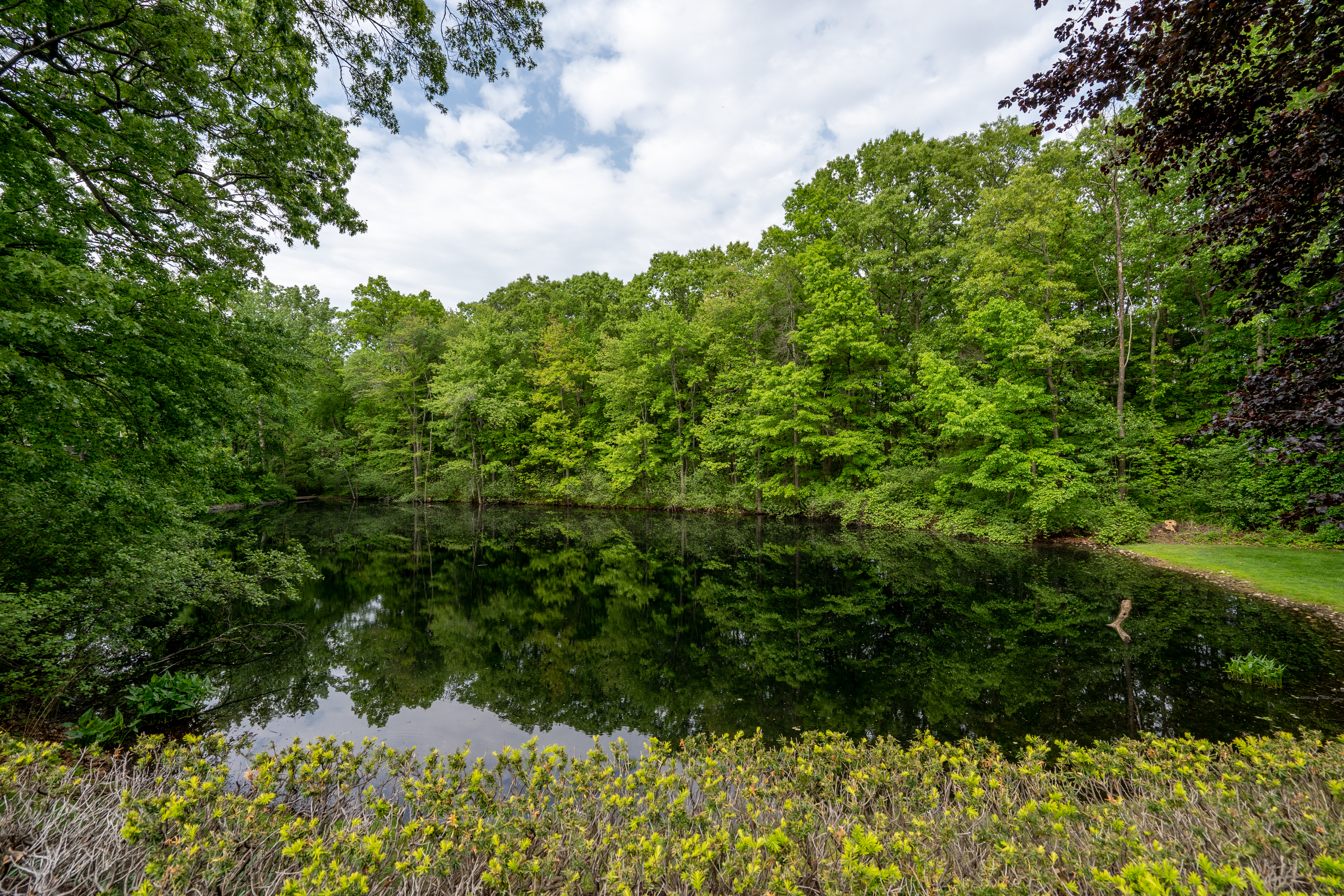  A Private Loudonville Estate Minutes from Albany - 物件實景