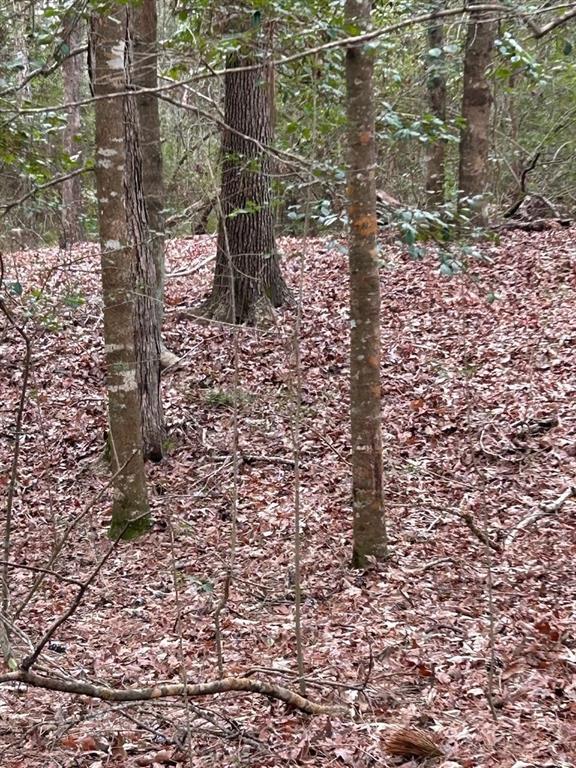 Huntington, Texas, 75949, United States, ,Land,For Sale,1784862