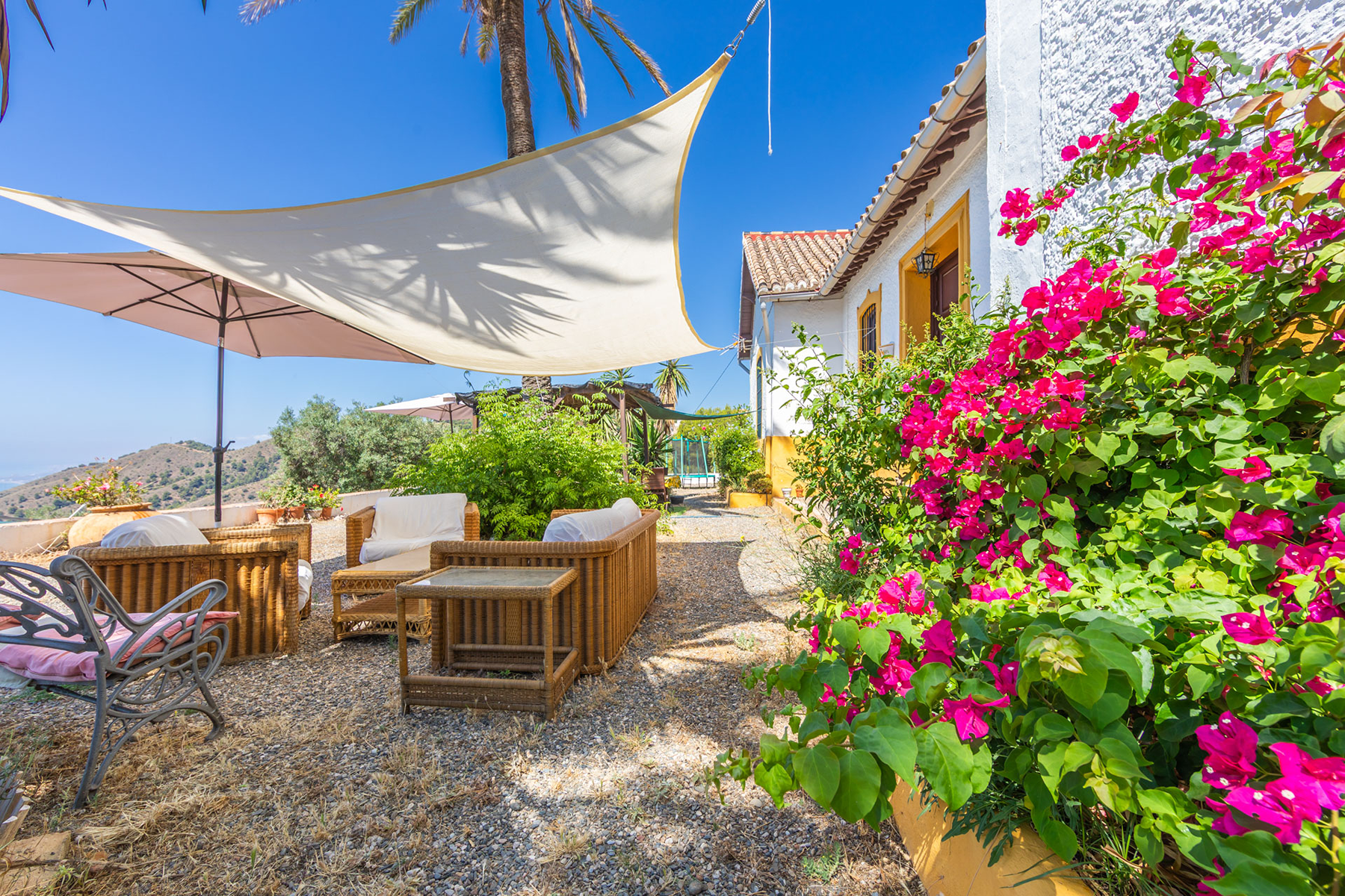  Colonial villa with olive farm near Montes de Málaga Natural Park - 物件實景