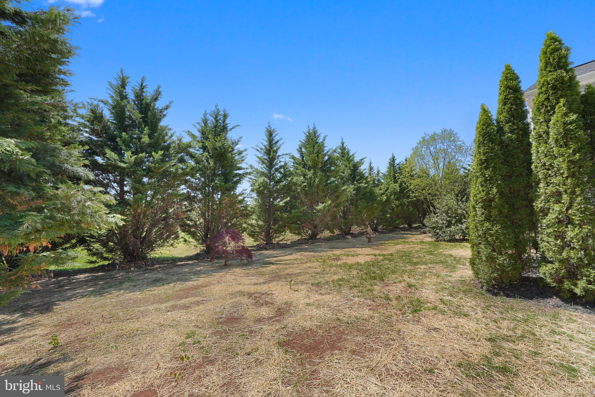 Culpeper, Virginia, 22701, United States, 5 Bedrooms Bedrooms, ,5 BathroomsBathrooms,Residential,For Sale,1841439