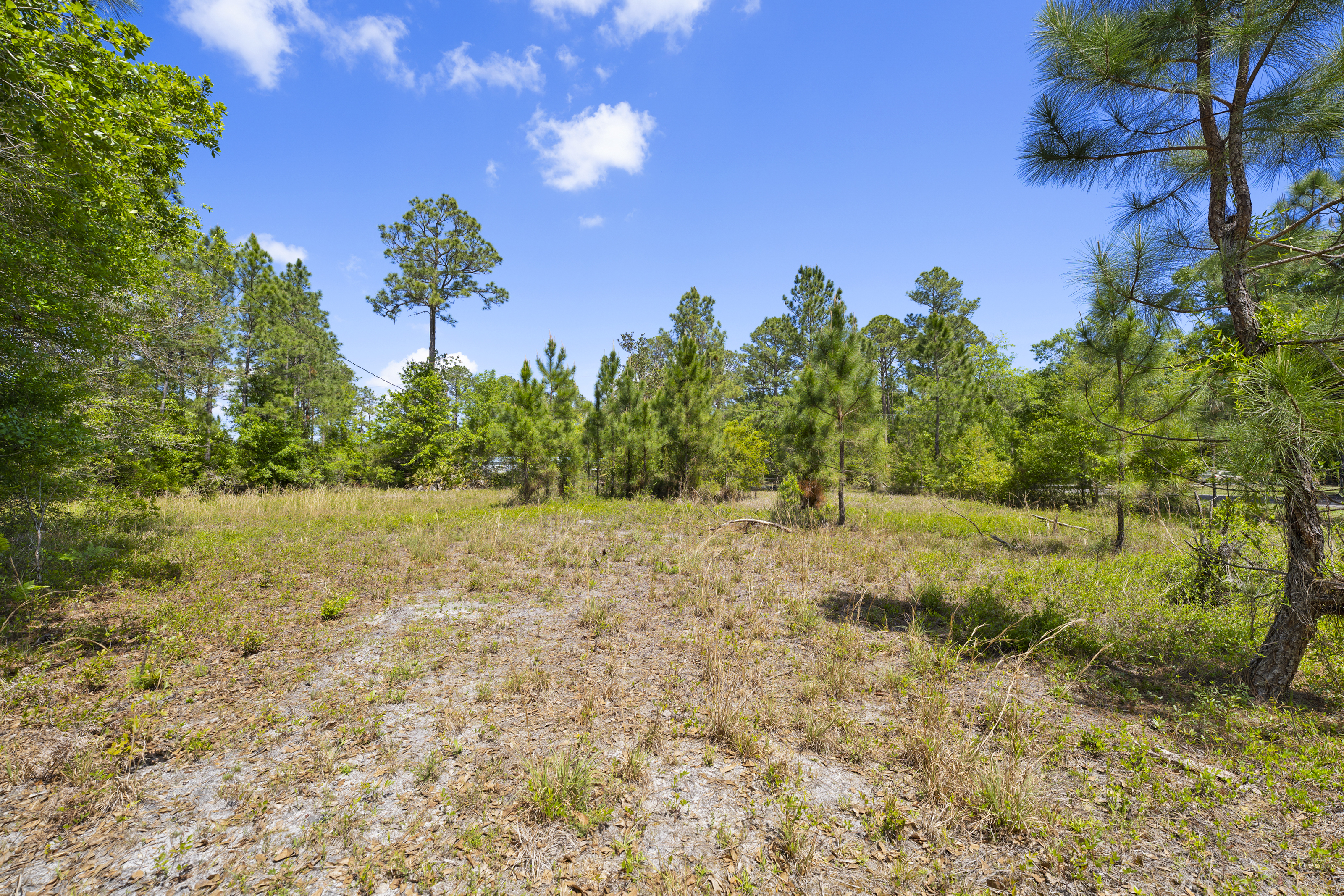  5371 Church Road, St. Augustine, FL, 32092 - 物件實景