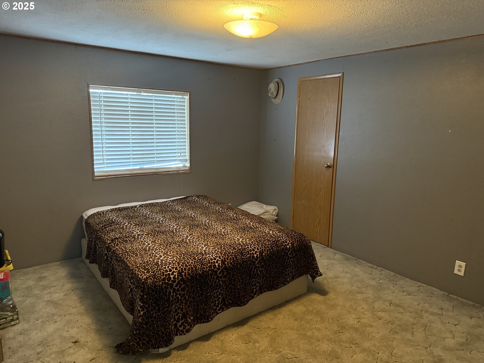 Spring St, White Salmon, WA 98672 #1