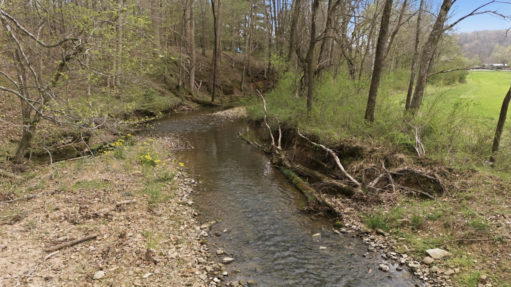  293 E Piney Rd, Dickson, TN, 37055 - 物件實景