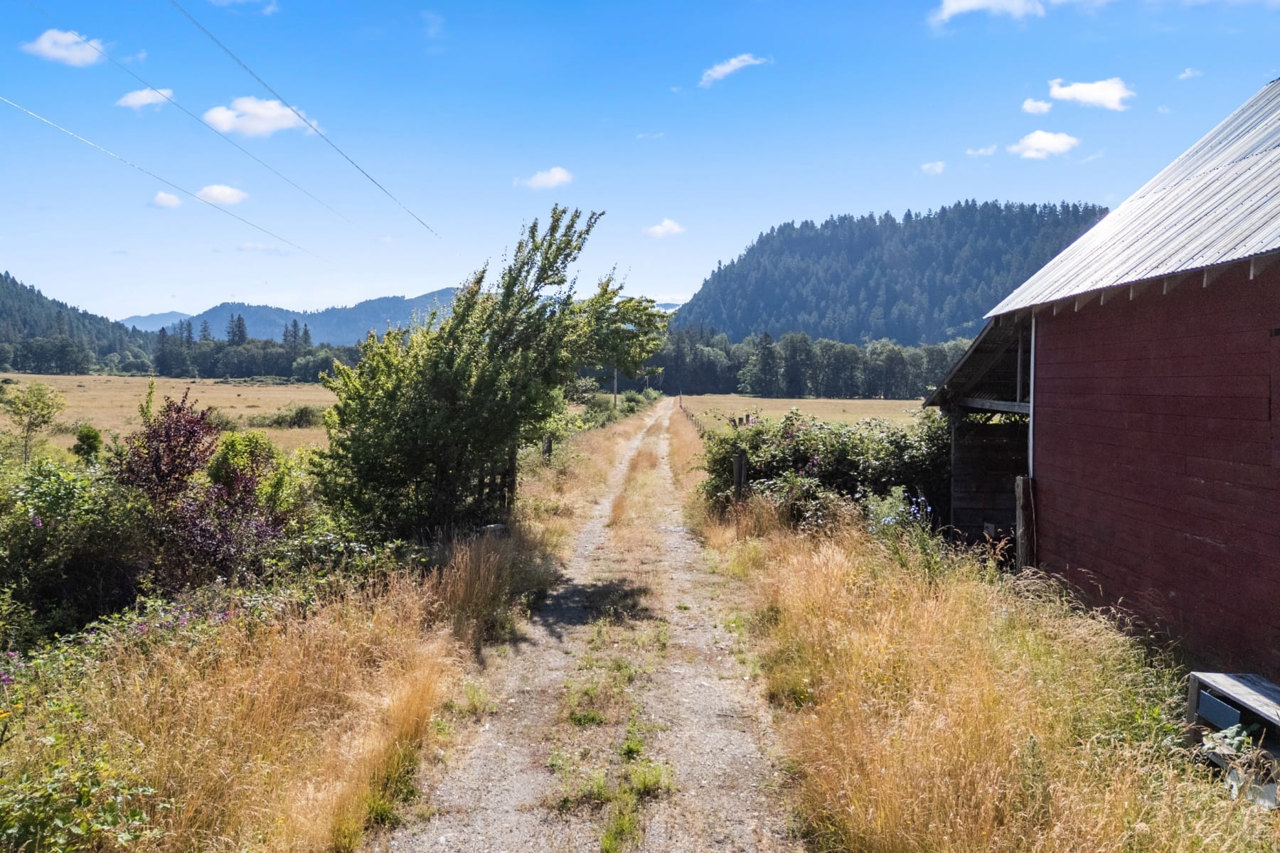  706 Creek Road Azalea, OR 97410 - 物件實景
