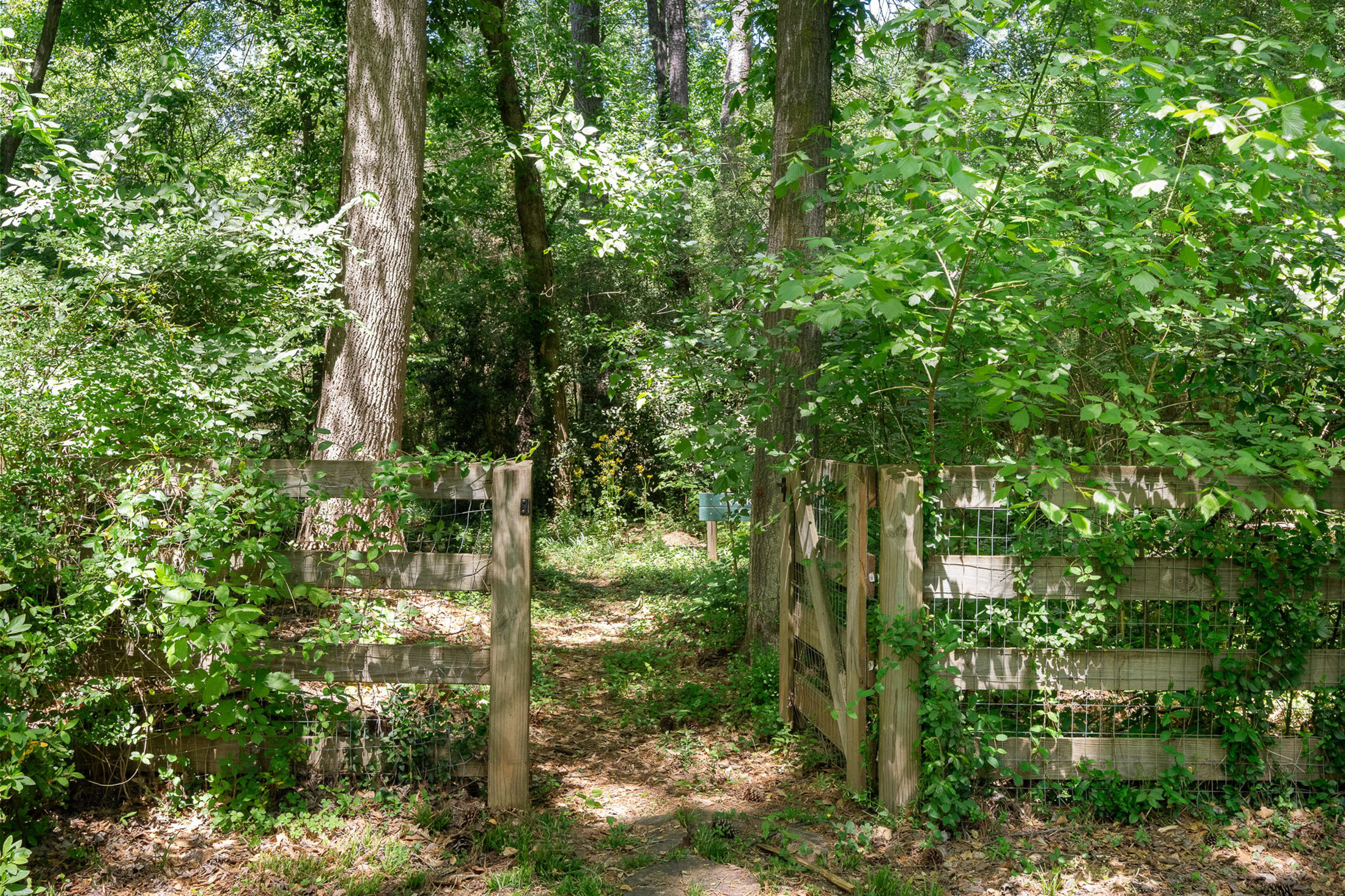  Stunning and Completely Renovated Morningside Home on 3.2+/- Acre Estate Lot - 物件實景