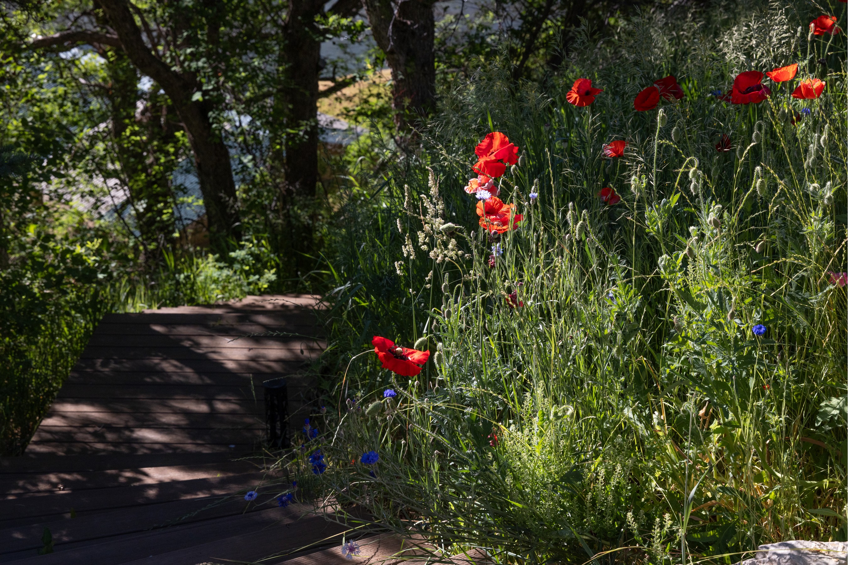  14418 Colorado 133, Redstone Historic District, CO 81623 - 物件實景