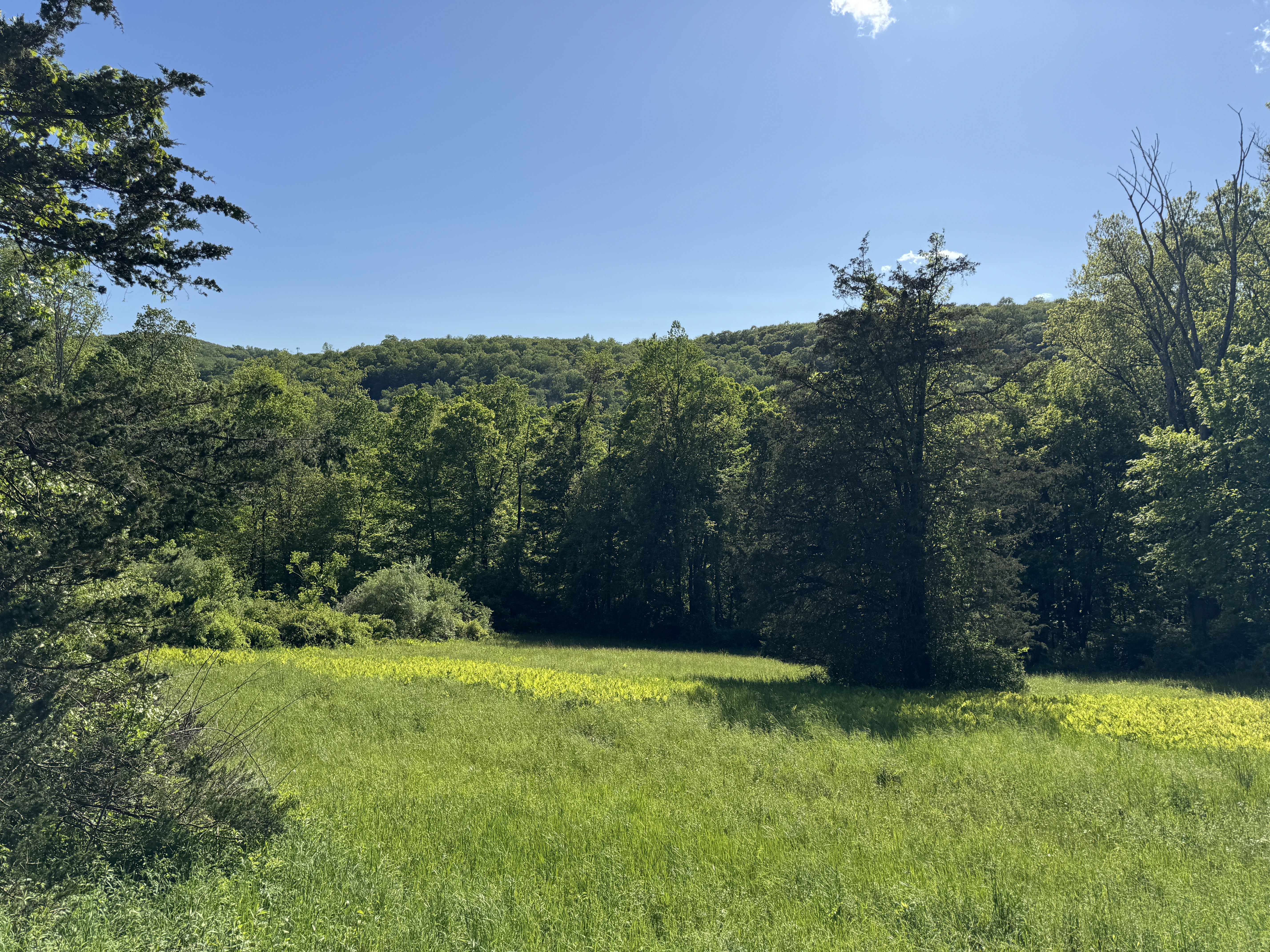 Rte 39 South, State Route - 物件實景