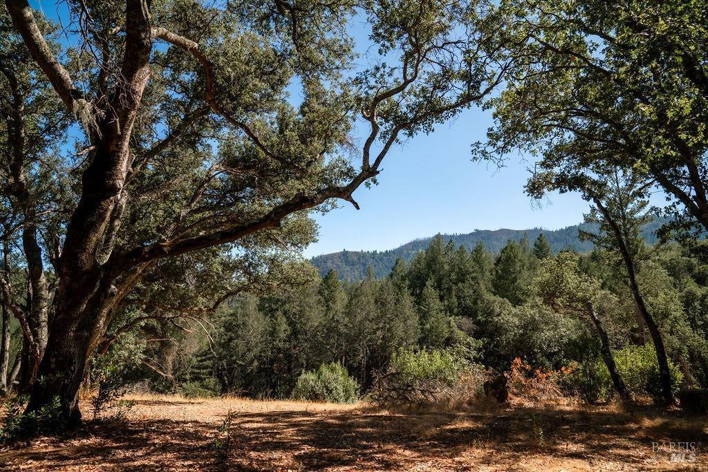 St. Helena, California, 94574, United States, ,Residential,For Sale,1846631