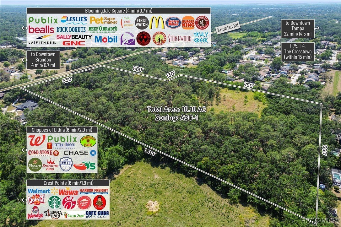 Brandon, Florida, 33511, United States, ,Land,For Sale,1981664