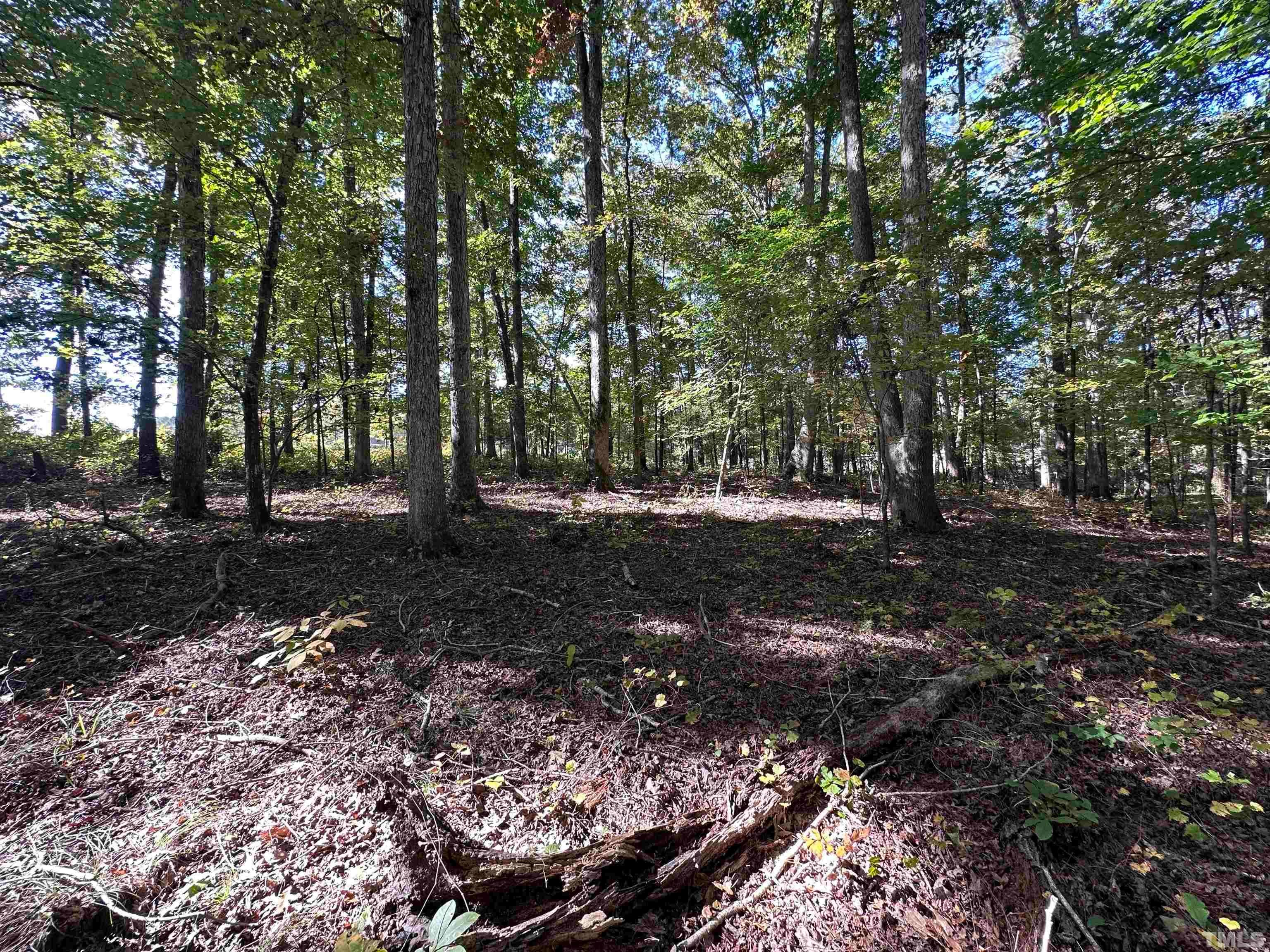 8017 Farrington Mill Road, Chapel Hill, North Carolina, 27517, United States, ,Land,For Sale,8017 Farrington Mill Road,1623508