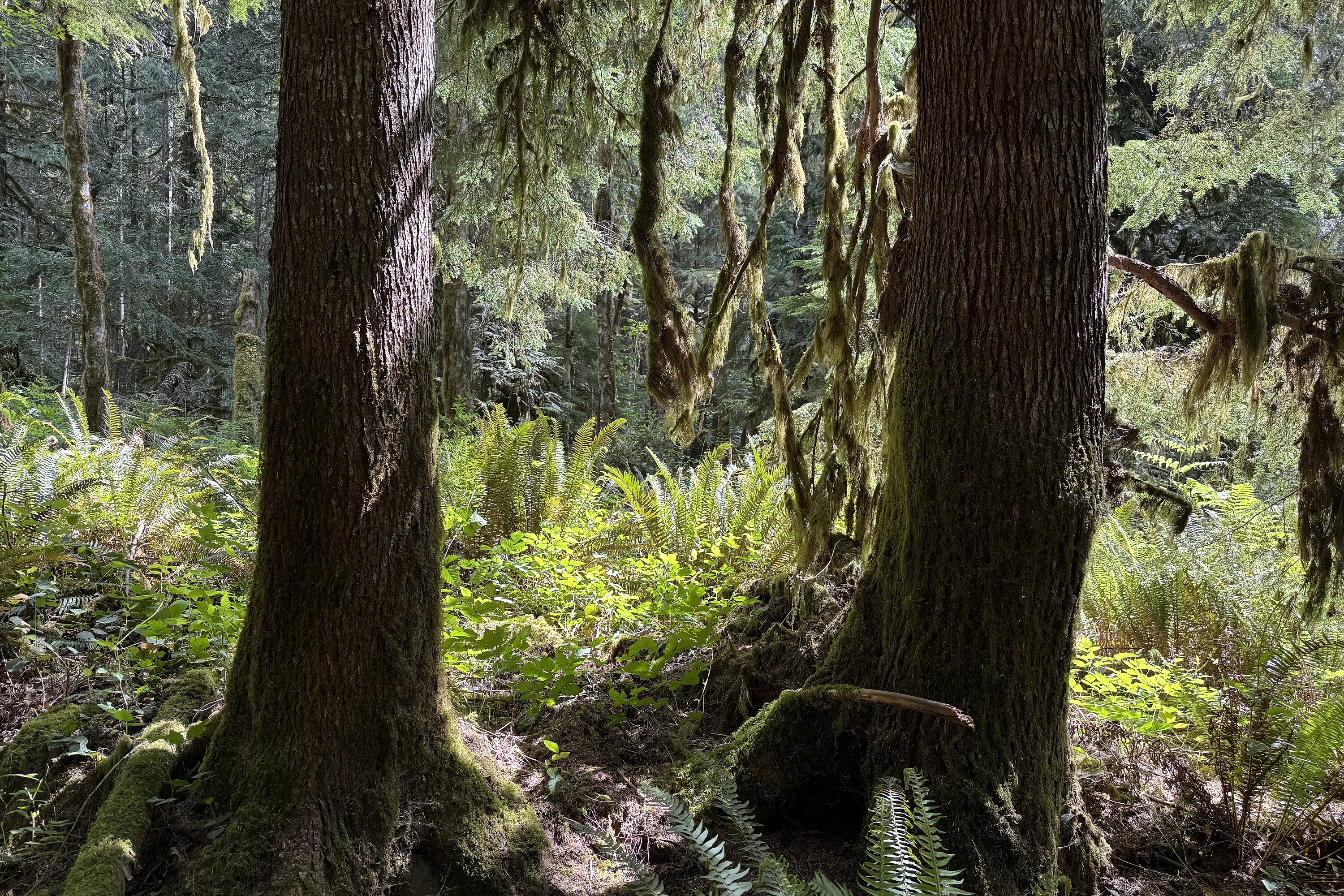  Sechelt, Sunshine Coast - 物件實景