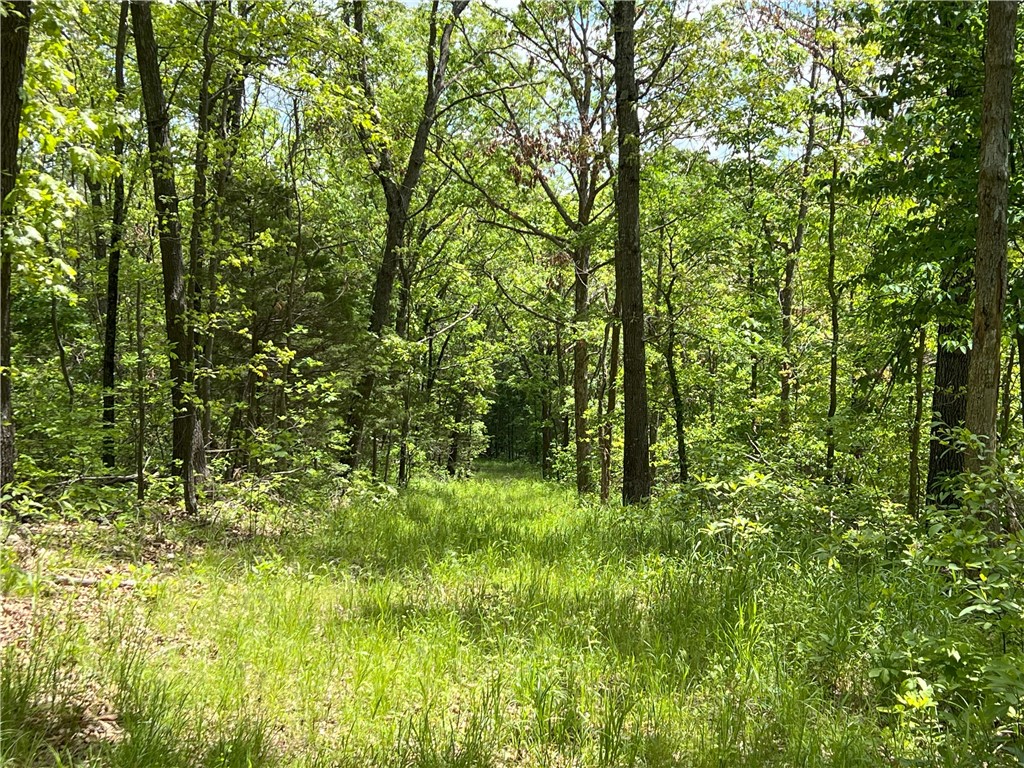 Garfield, Arkansas, 72732, United States, ,Land,For Sale,1804669